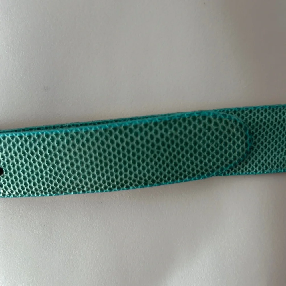 VTG 80s Genuine Reptile Skin Belt Emerald Aqua Green Brass Buckle Canada Size M